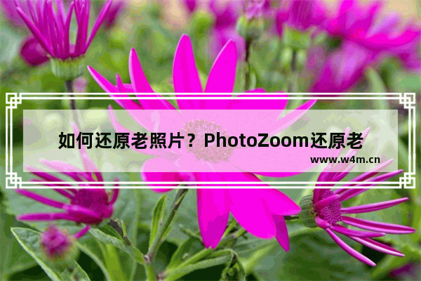 如何还原老照片？PhotoZoom还原老照片的方法