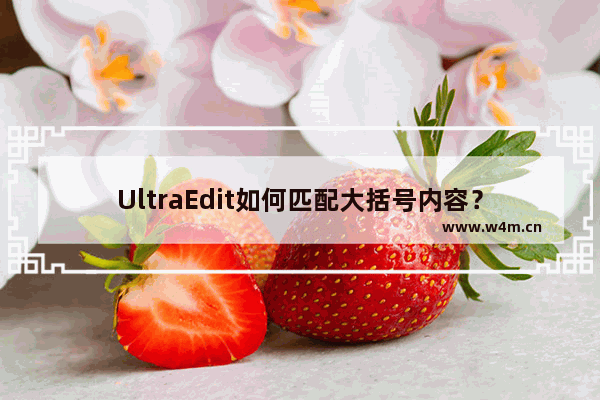 UltraEdit如何匹配大括号内容？