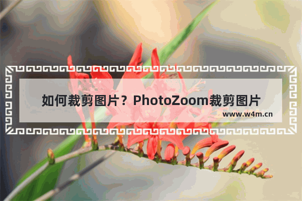 如何裁剪图片？PhotoZoom裁剪图片的方法