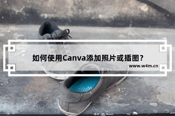 如何使用Canva添加照片或插图？