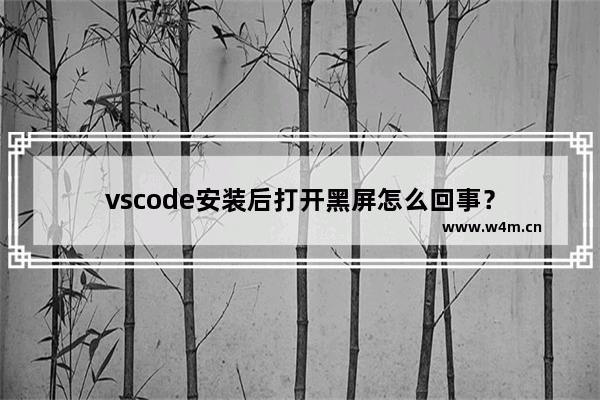 vscode安装后打开黑屏怎么回事？