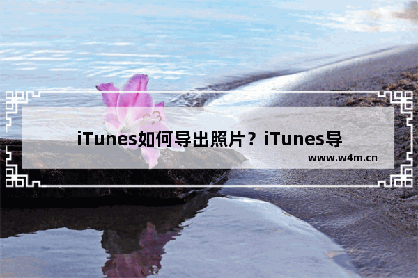 iTunes如何导出照片？iTunes导出照片到电脑的方法