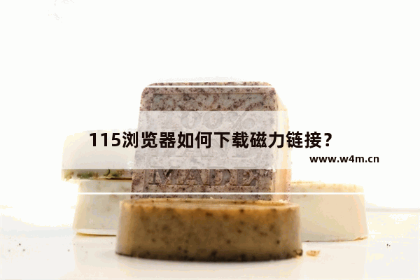 115浏览器如何下载磁力链接？