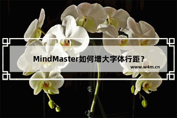 MindMaster如何增大字体行距？