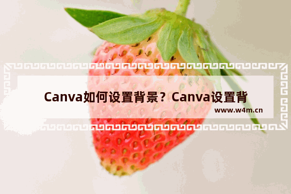 Canva如何设置背景？Canva设置背景的方法