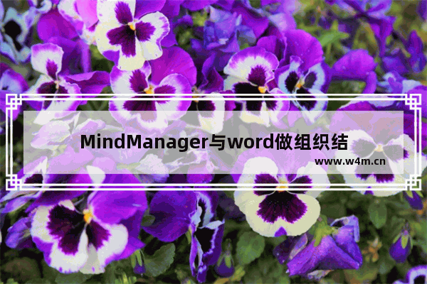 MindManager与word做组织结构图对比