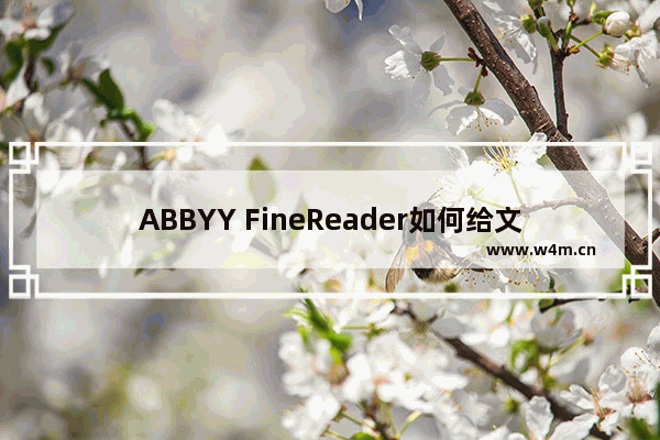 ABBYY FineReader如何给文档页码重新编号？