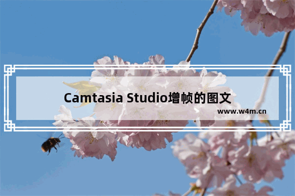 Camtasia Studio增帧的图文教程