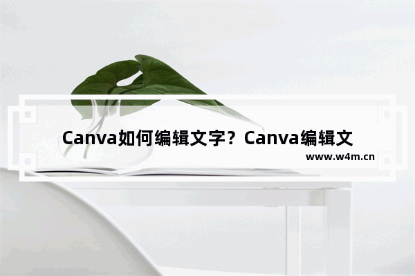 Canva如何编辑文字？Canva编辑文字的方法