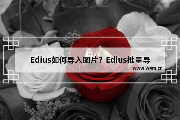 Edius如何导入图片？Edius批量导入图片的方法