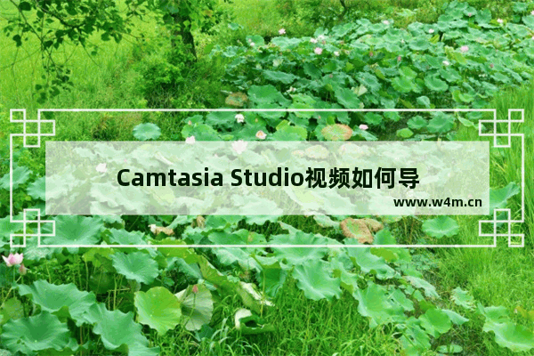 Camtasia Studio视频如何导出单张图片？