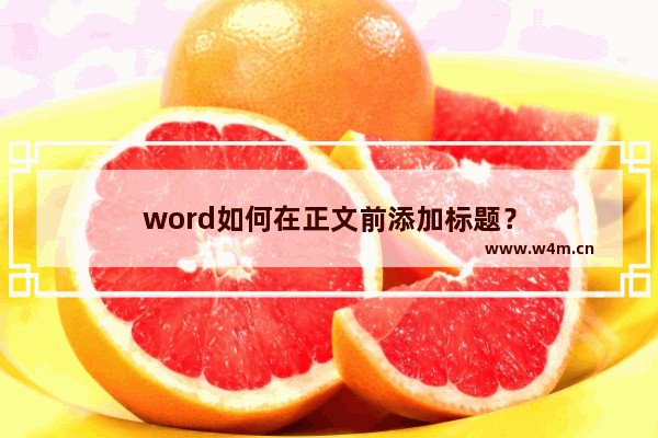 word如何在正文前添加标题？