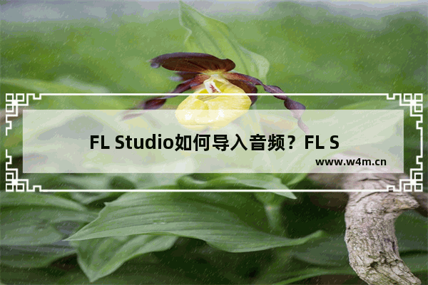 FL Studio如何导入音频？FL Studio导入MP3文件的方法