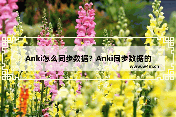 Anki怎么同步数据？Anki同步数据的技巧