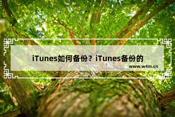 iTunes如何备份？iTunes备份的方法