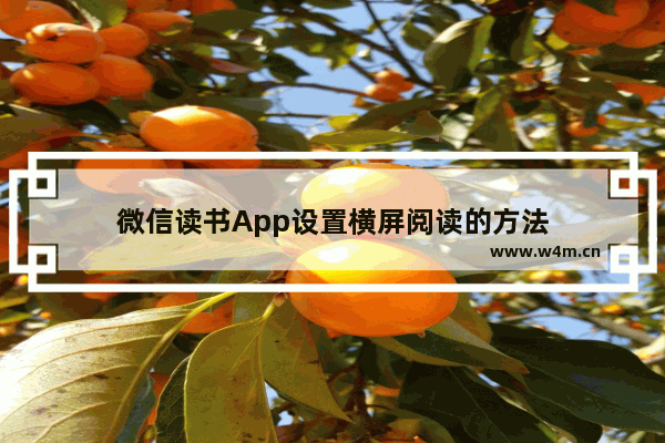 微信读书App设置横屏阅读的方法