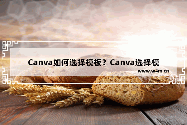 Canva如何选择模板？Canva选择模板的方法