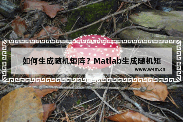 如何生成随机矩阵？Matlab生成随机矩阵的方法