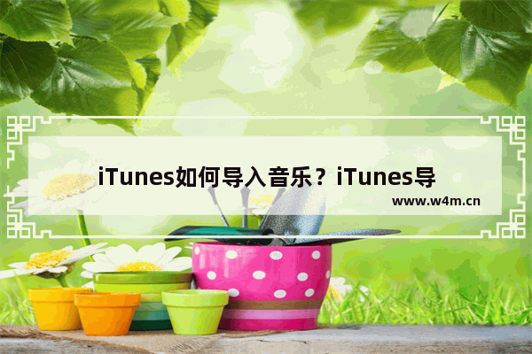 iTunes如何导入音乐？iTunes导入音乐的方法