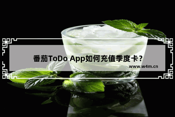 番茄ToDo App如何充值季度卡？