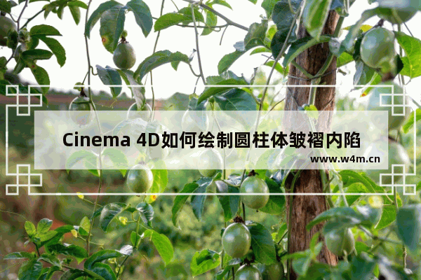 Cinema 4D如何绘制圆柱体皱褶内陷效果？