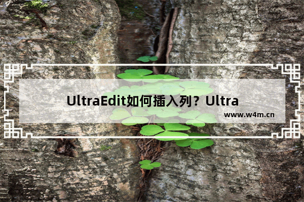 UltraEdit如何插入列？UltraEdit插入列的方法