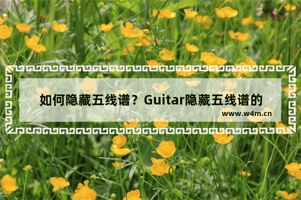 如何隐藏五线谱？Guitar隐藏五线谱的方法