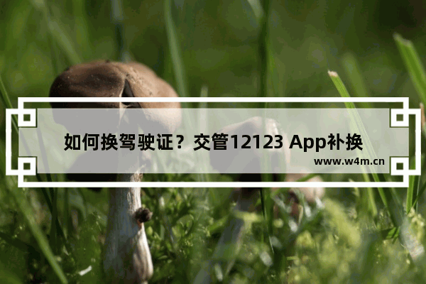 如何换驾驶证？交管12123 App补换驾驶证的方法