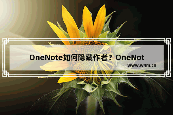 OneNote如何隐藏作者？OneNote隐藏作者的方法