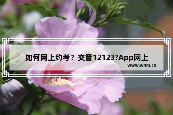 如何网上约考？交管12123?App网上预约考试的方法