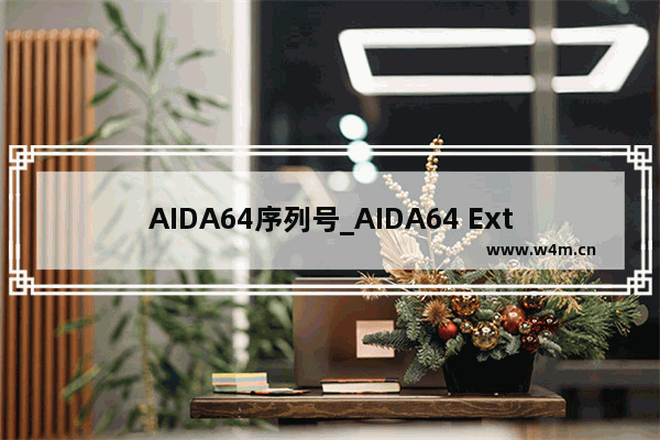 AIDA64序列号_AIDA64 Extreme最新注册码