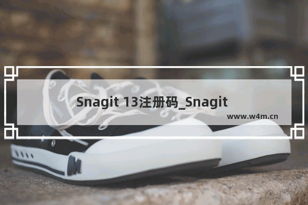 Snagit 13注册码_Snagit 13激活教程