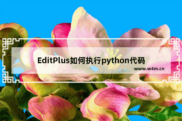 EditPlus如何执行python代码？