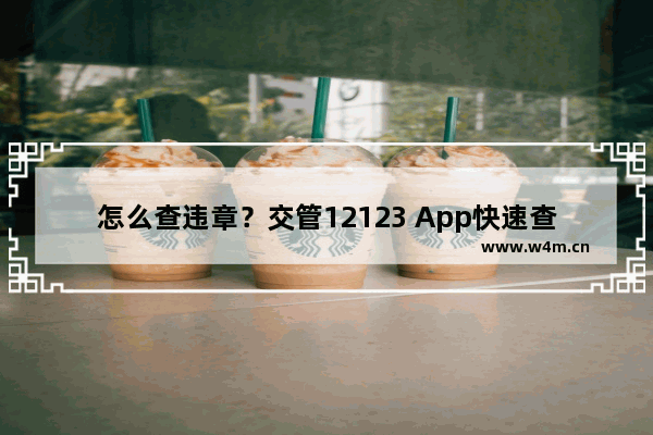 怎么查违章？交管12123 App快速查询违章的方法