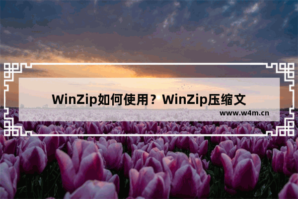 WinZip如何使用？WinZip压缩文件的技巧