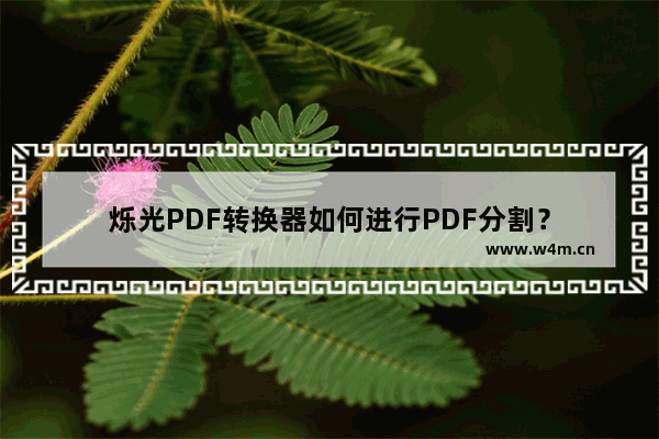 烁光PDF转换器如何进行PDF分割？