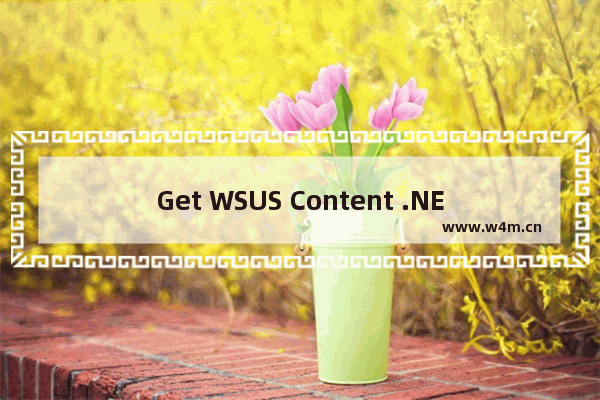 Get WSUS Content .NET 控制 Windows 更新