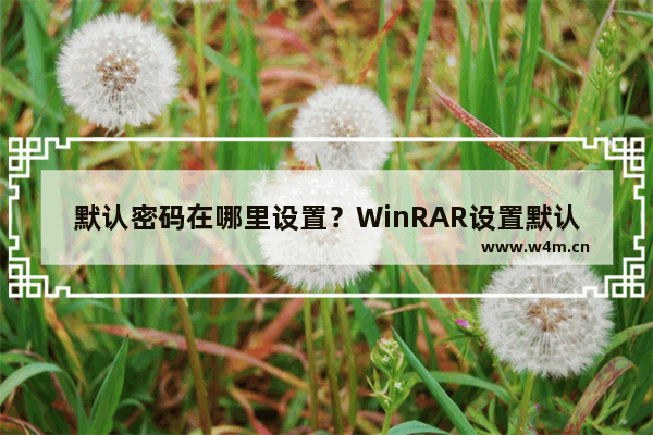 默认密码在哪里设置？WinRAR设置默认密码的方法