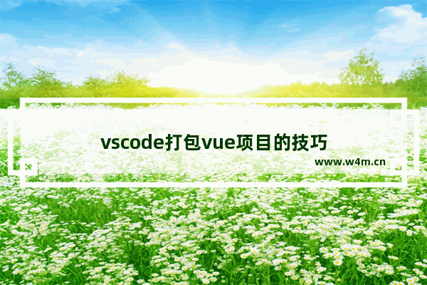 vscode打包vue项目的技巧