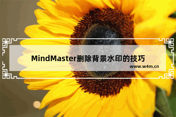 MindMaster删除背景水印的技巧