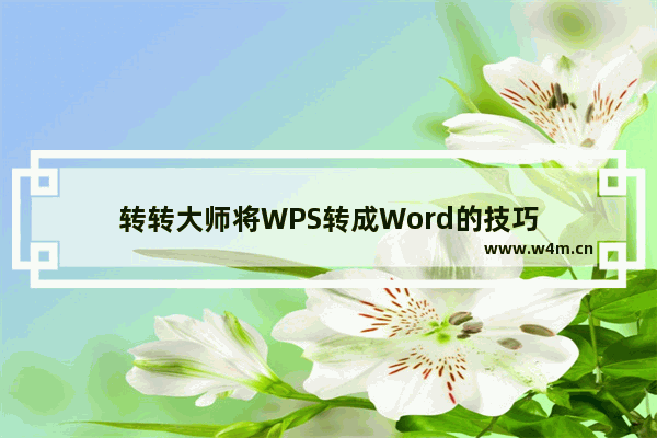 转转大师将WPS转成Word的技巧