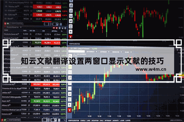 知云文献翻译设置两窗口显示文献的技巧