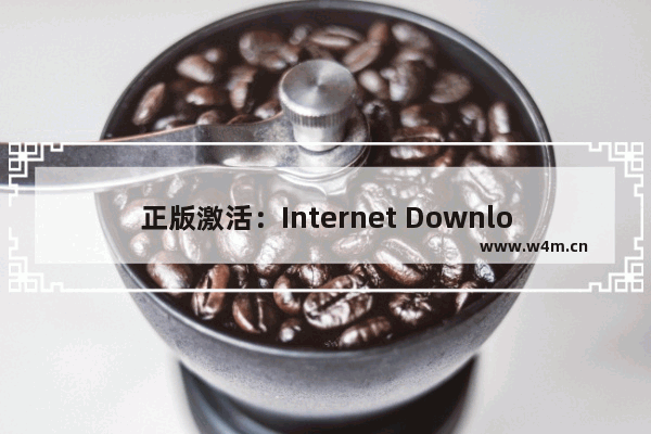 正版激活：Internet Download Manager注册码下载