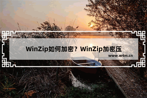 WinZip如何加密？WinZip加密压缩文件的技巧