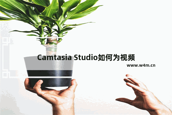 Camtasia Studio如何为视频添加转场效果？