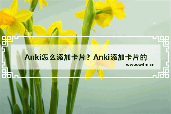 Anki怎么添加卡片？Anki添加卡片的技巧