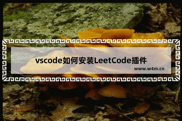 vscode如何安装LeetCode插件？