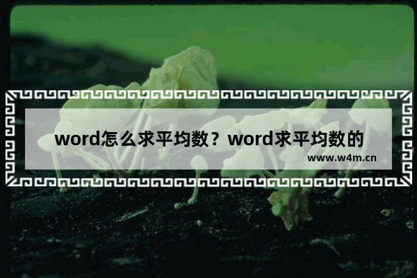 word怎么求平均数？word求平均数的技巧