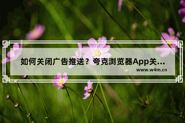 如何关闭广告推送？夸克浏览器App关闭推送的方法