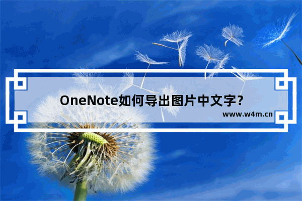 OneNote如何导出图片中文字？